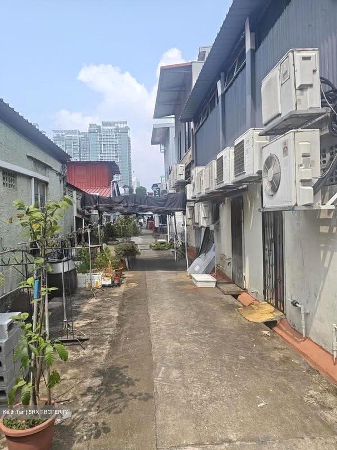 Serangoon Road (D12), Shop House #608708341